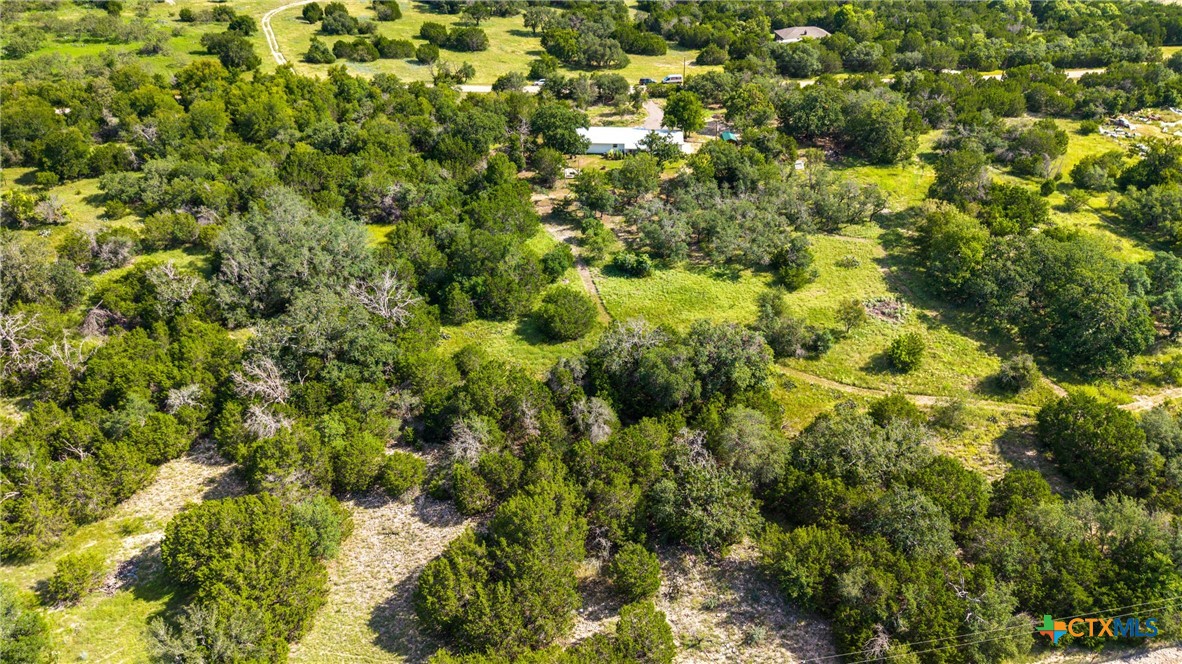 370 County Road 3106 Kempner, TX 76539 - Photo 31 of 34 a view of a lush green forest