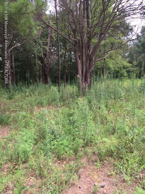7 Berta Road Byhalia, MS 38611 - Photo 1 of 9 IMG_6546