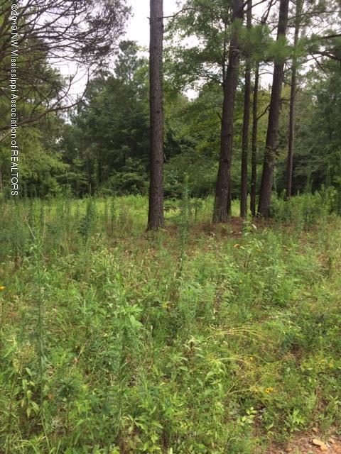 7 Berta Road Byhalia, MS 38611 - Photo 2 of 9 IMG_6547