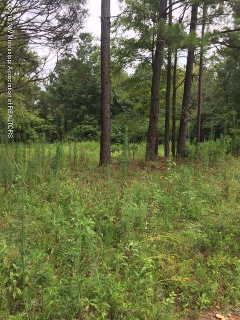 7 Berta Road Byhalia, MS 38611 - Photo 3 of 9 IMG_6548
