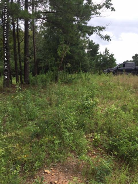 7 Berta Road Byhalia, MS 38611 - Photo 4 of 9 IMG_6549