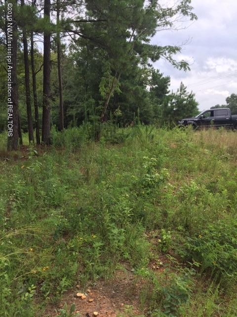 7 Berta Road Byhalia, MS 38611 - Photo 5 of 9 IMG_6550