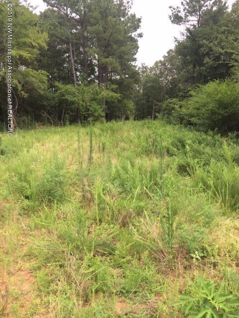 7 Berta Road Byhalia, MS 38611 - Photo 7 of 9 IMG_6552