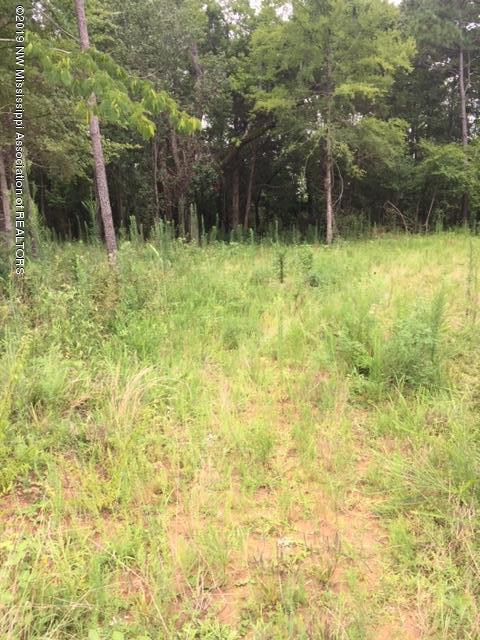 7 Berta Road Byhalia, MS 38611 - Photo 8 of 9 IMG_6554