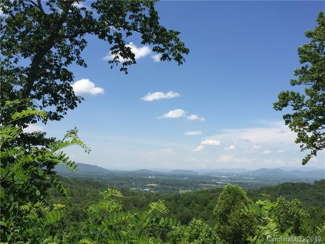 92 Cummings Ridge Trail, Unit 4 Hendersonville, NC 28739 - Photo 1 of 8 a view of a garden