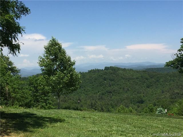 92 Cummings Ridge Trail, Unit 4 Hendersonville, NC 28739 - Photo 2 of 8 a view of a lush green outdoor space with a lake view