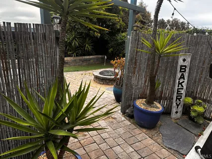 a view of a backyard with plants and a patio