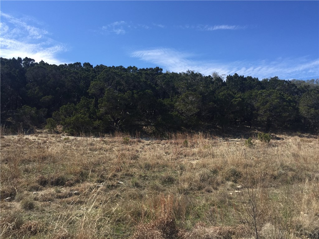 0 Round Mountain Road Leander, TX 78641 - Photo 1 of 1