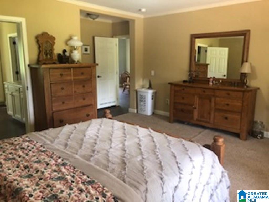 275 Manning Road Pell City, AL 35125 - Photo 25 of 38