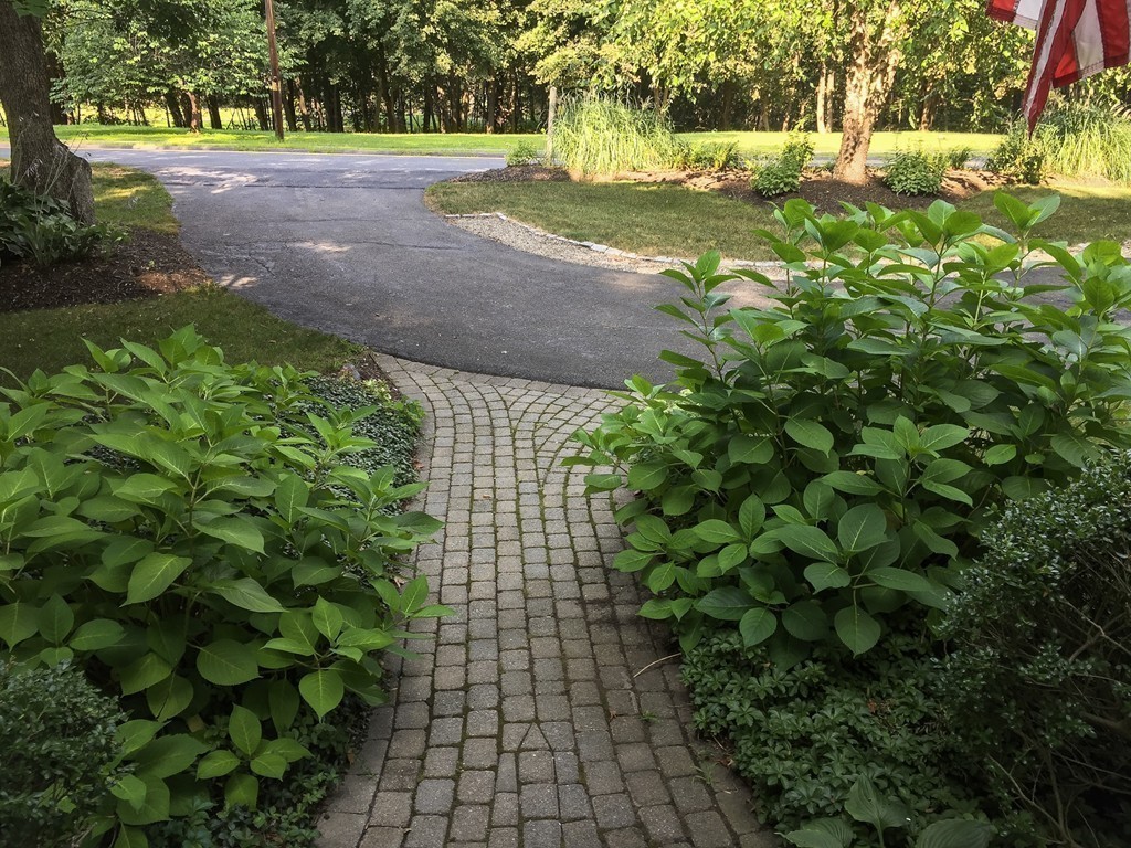 83 Concord Road Acton, MA 01720 - Photo 28 of 30 a view of yard with tree