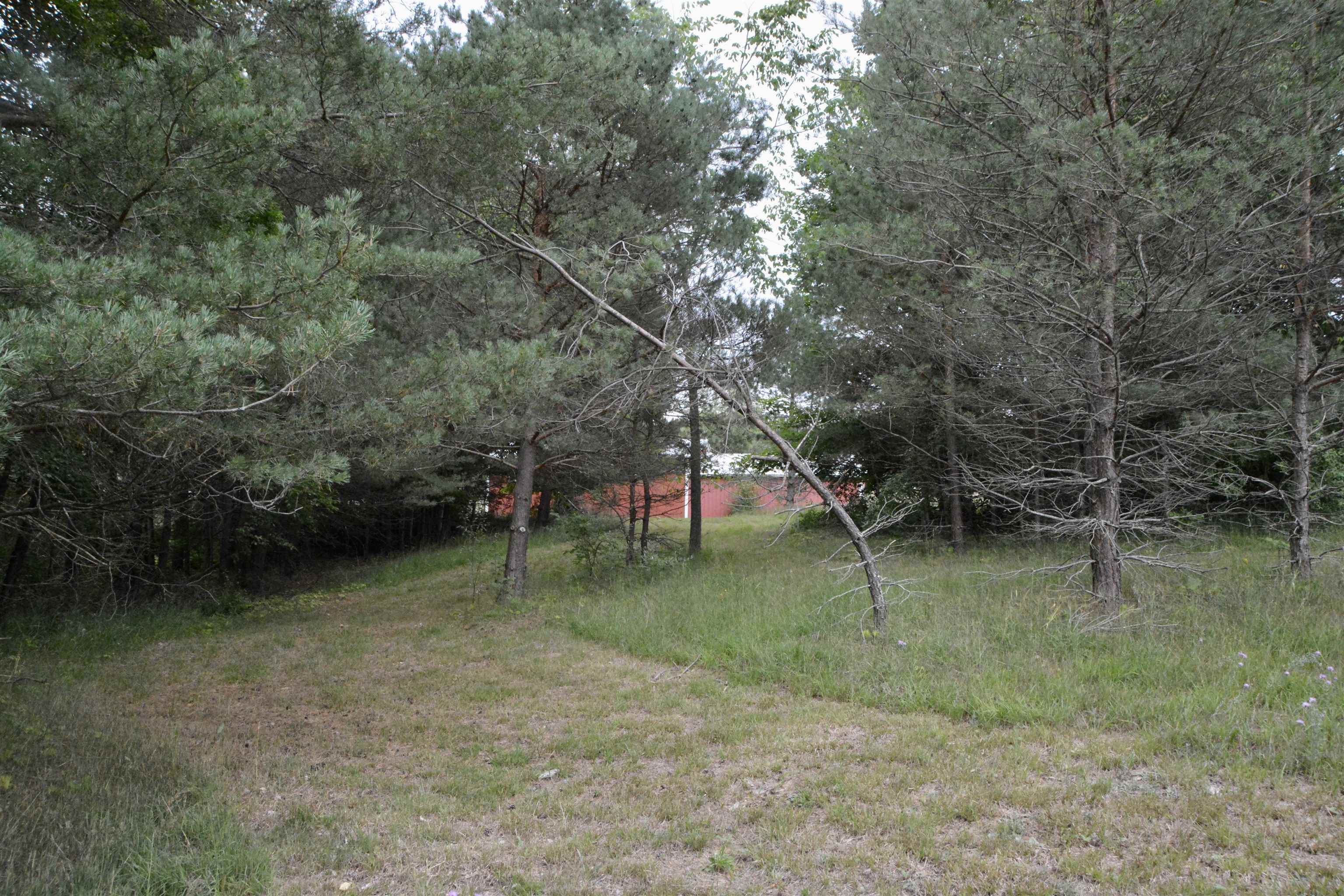 601 Bass Lake Road Southwest Kalkaska, MI 49646 - Photo 36 of 36