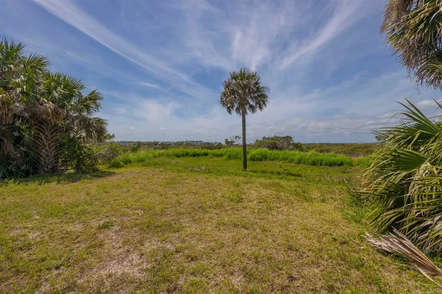 a view of a big room with a big yard plants and large trees