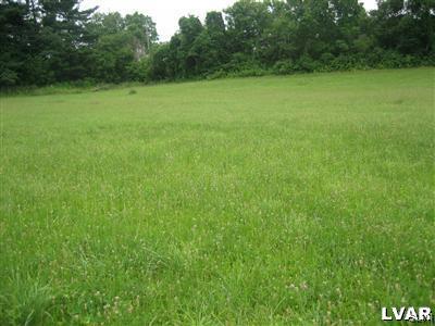 337 Henry Road Nazareth, PA 18064 - Photo 5 of 9 a view of a green yard