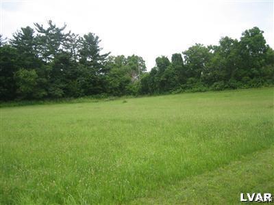 337 Henry Road Nazareth, PA 18064 - Photo 7 of 9 a view of field with trees in the background
