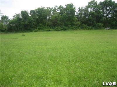 337 Henry Road Nazareth, PA 18064 - Photo 8 of 9 a view of a green yard