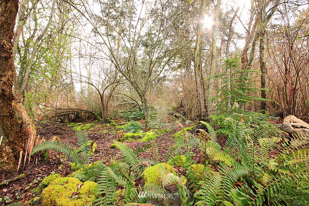 2329 West Beach Road Oak Harbor, WA 98277 - Photo 11 of 14 Gallery Image 11
