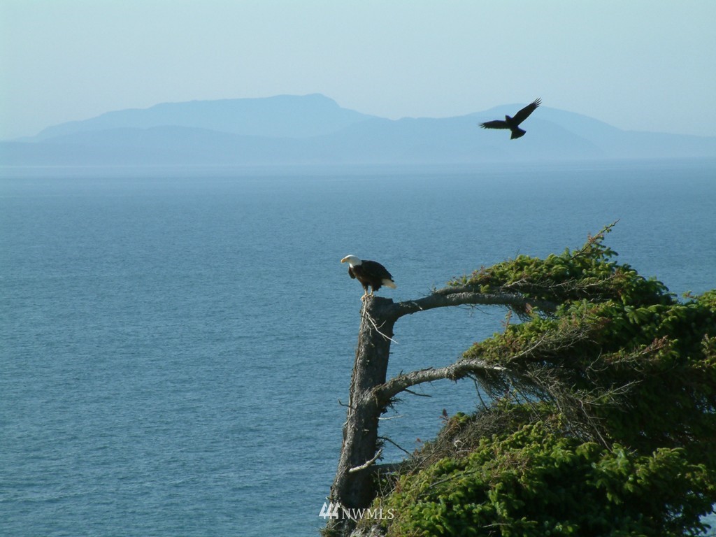 2329 West Beach Road Oak Harbor, WA 98277 - Photo 13 of 14 Gallery Image 13
