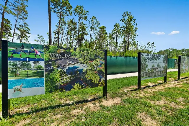 a view of a garden with plants