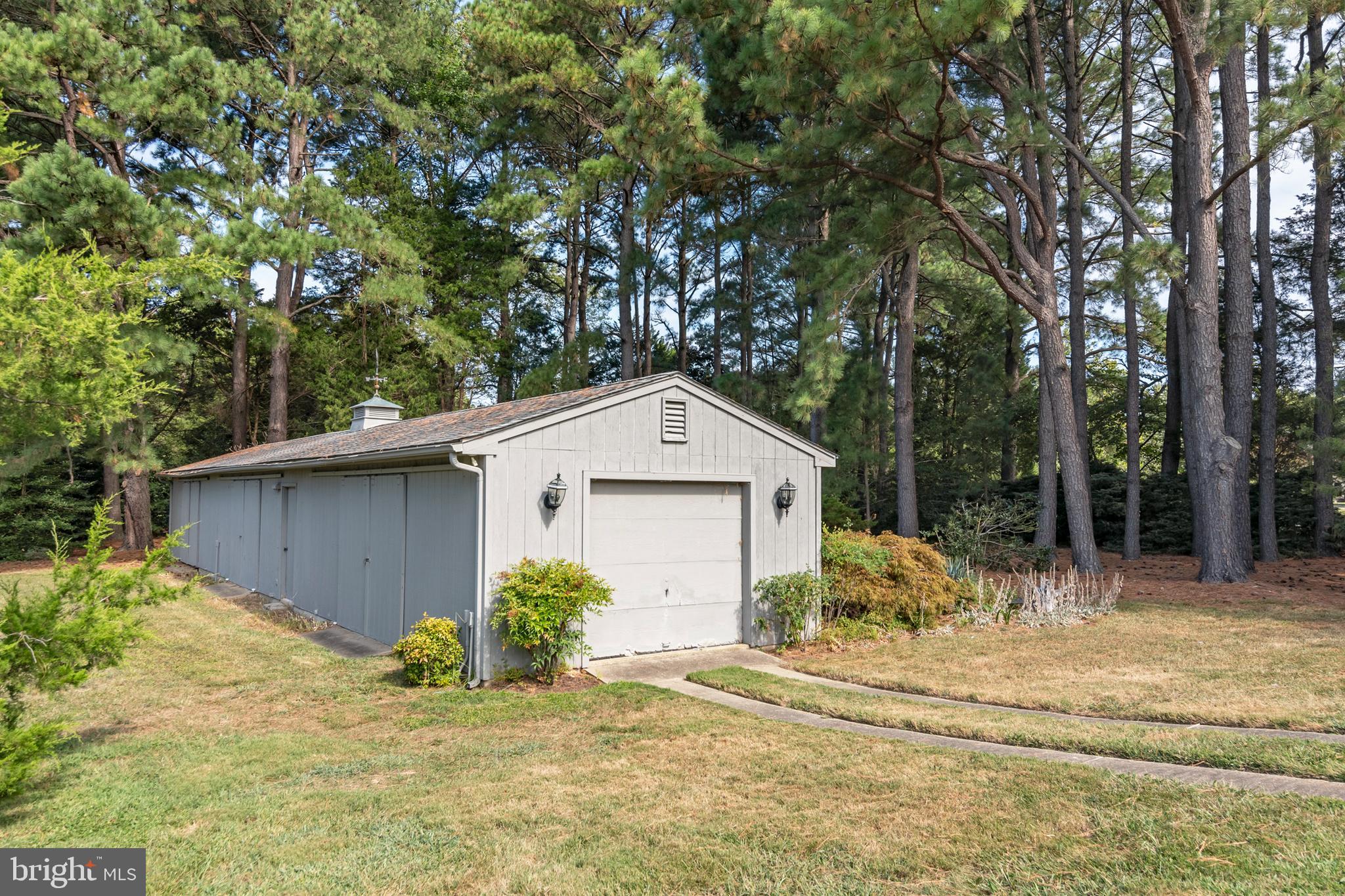 9338 Bantry Road Easton, MD 21601 - Photo 25 of 43 a view of a house with a yard and large tree