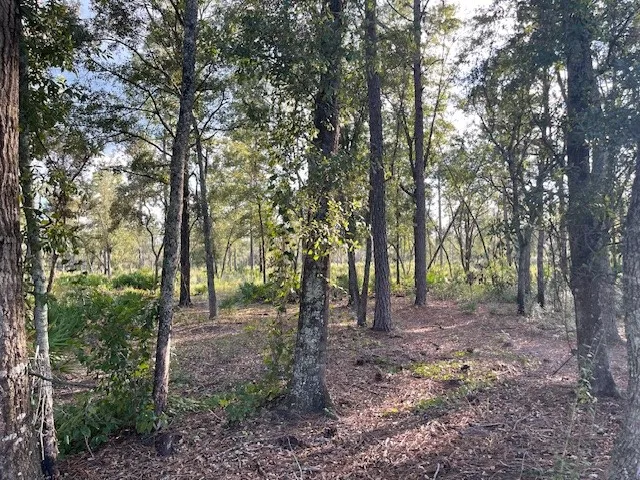 $1,195,000 | 2115 Mill Creek Road, Patterson, GA 31557