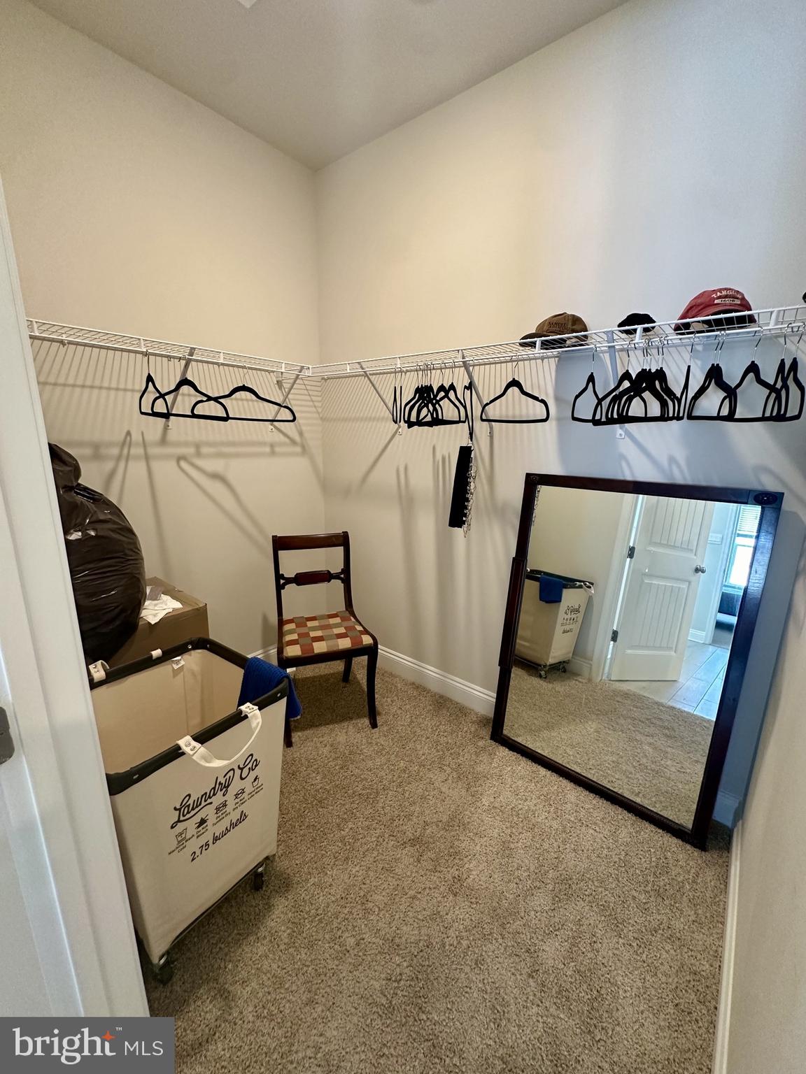 34253 Skyflower Loop Lewes, DE 19958 - Photo 18 of 30