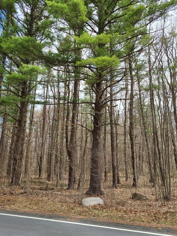 0 New Salem Road Petersham, MA 01366 - Photo 1 of 3