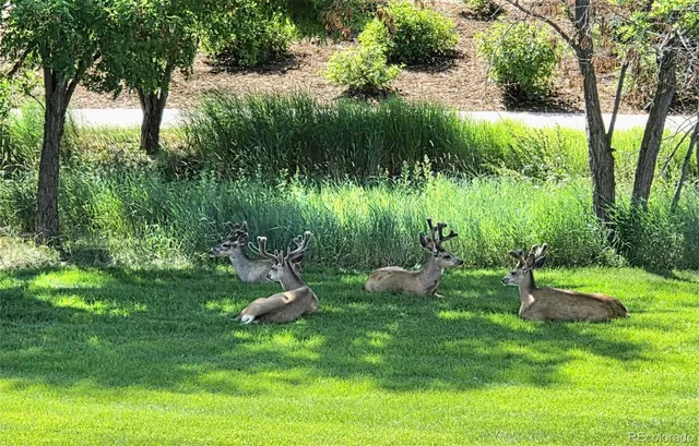 $879,500 | 4378 Fell Mist Way, Castle Rock, CO 80109