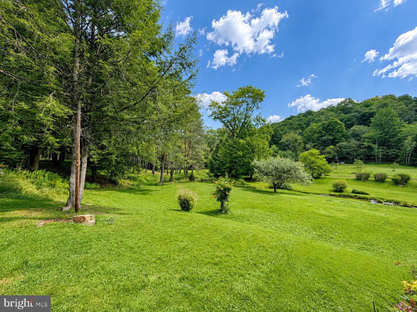 53 Wildcat Road Kane, PA 16735 - Photo 40 of 43 Gallery Image 40