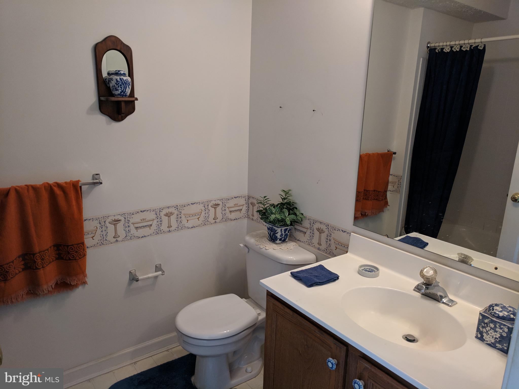 4862 Shellbark Road, Unit F Owings Mills, MD 21117 - Photo 8 of 20 a bathroom with a sink and a mirror