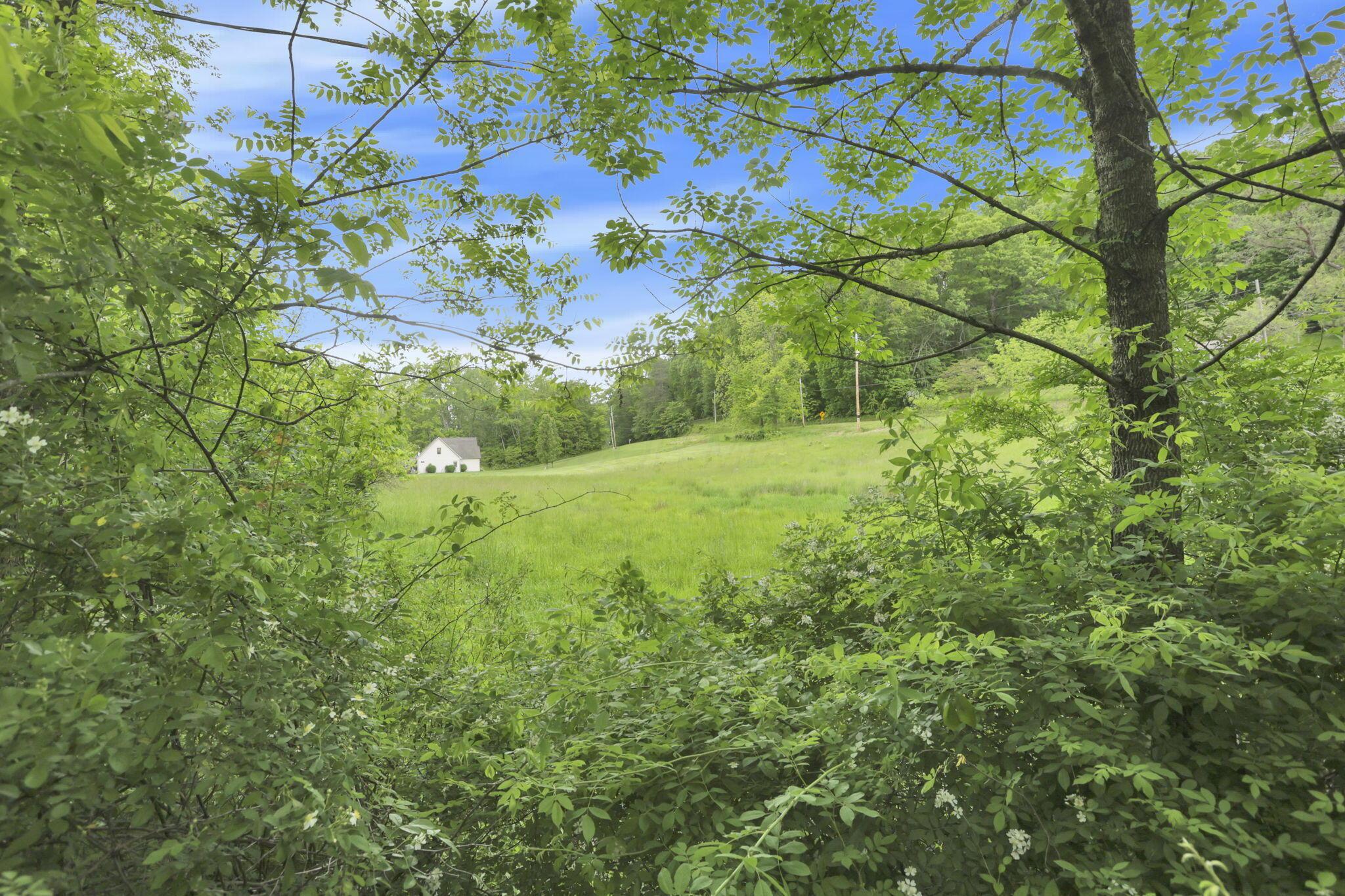7485 Sugar Grove Road Southeast Sugar Grove, OH 43155 - Photo 69 of 95 73-web-or-mls-LO5A2396