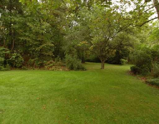 Other. Back Yard