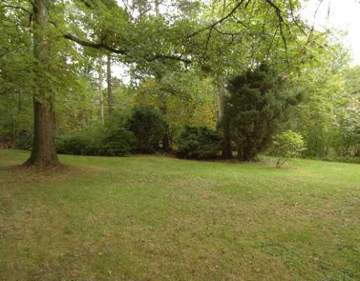 Other. Side of back yard