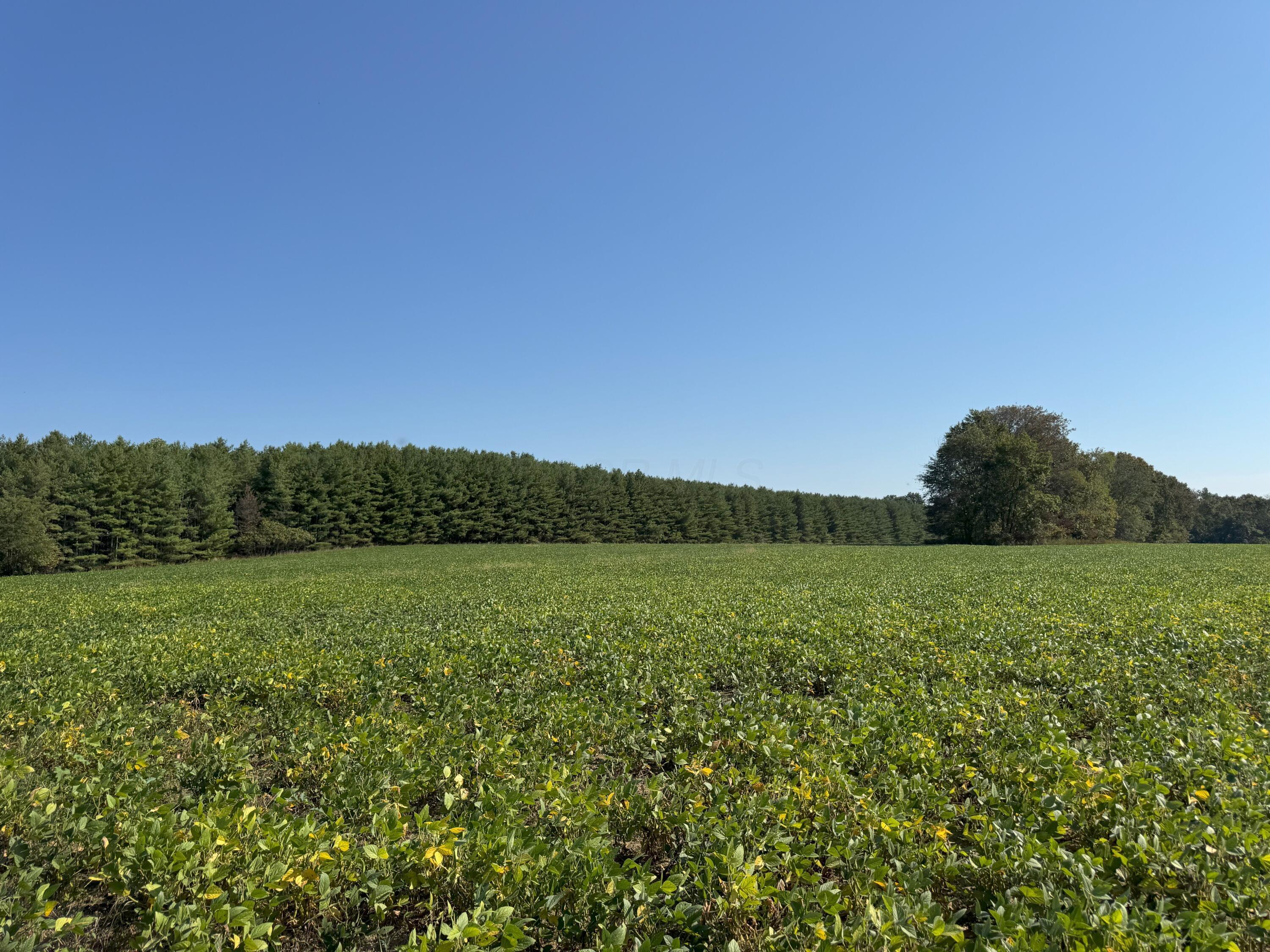 0 McKinney Road Piketon, OH 45661 - Photo 25 of 27 IMG_8936
