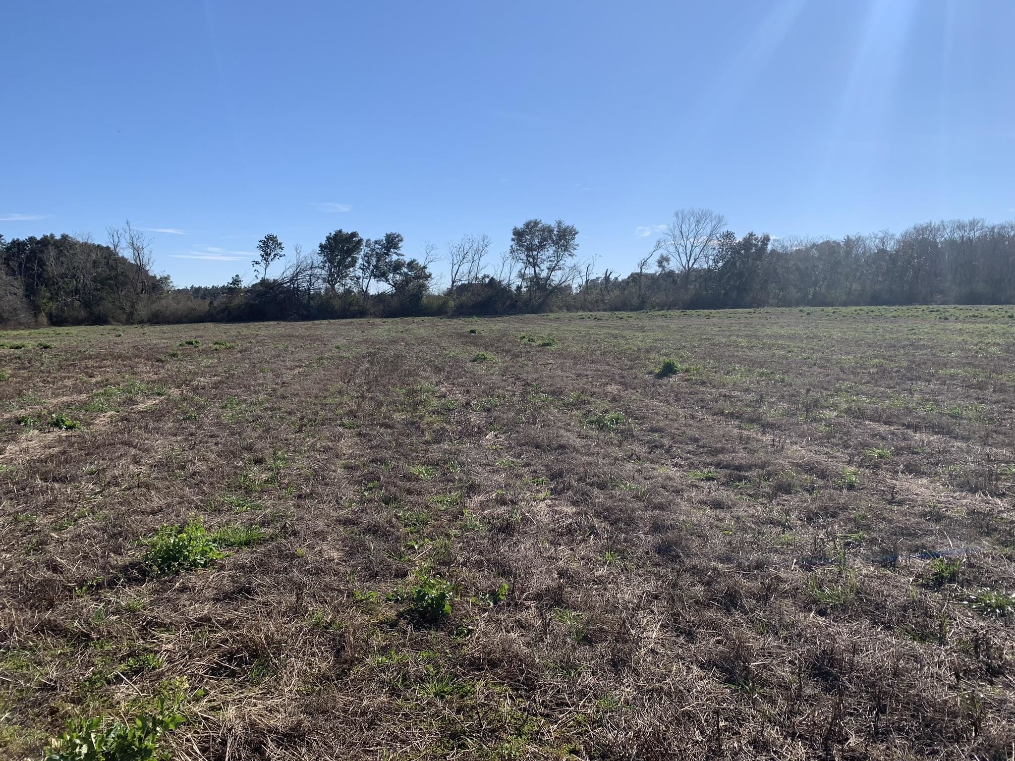 Lot 5 Wilson Road Elberta, AL 36530 - Photo 2 of 6