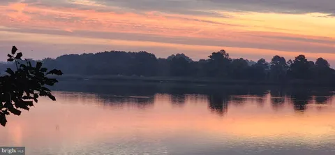 a view of a lake with plants and lake view