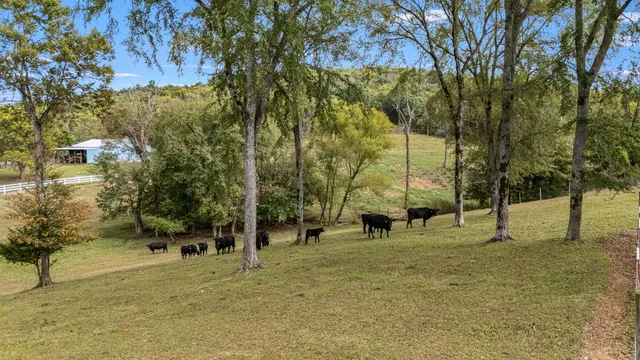 $599,900 | 114 Hickerson Road, Wartrace, TN 37183