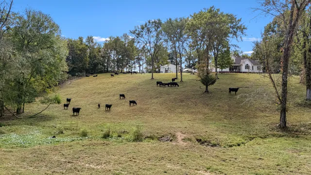 $599,900 | 114 Hickerson Road, Wartrace, TN 37183