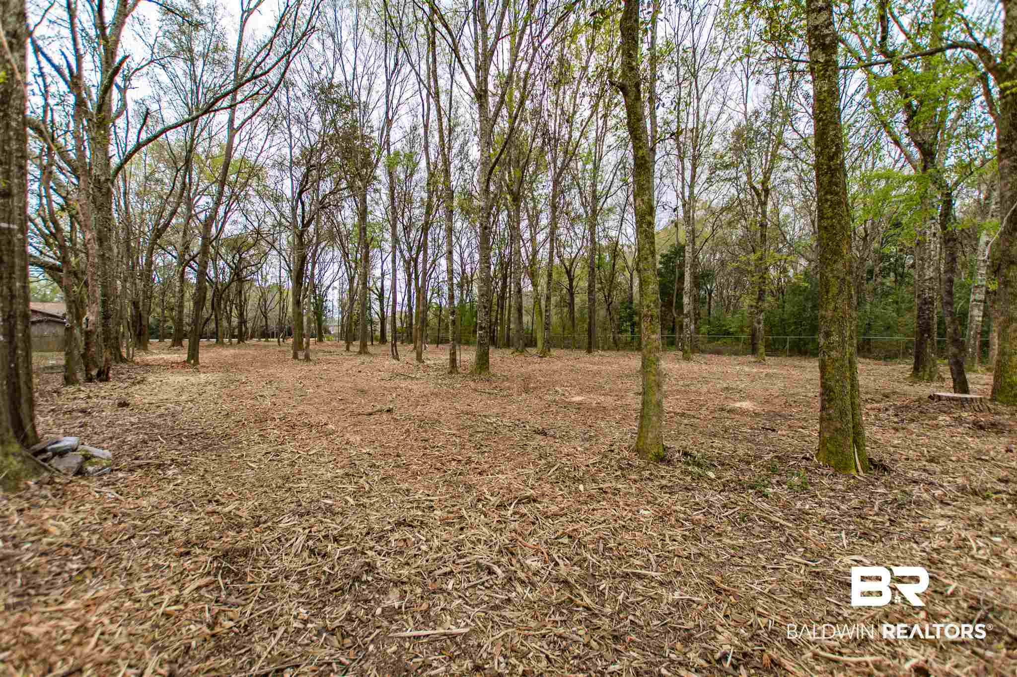 0 Jeff Hamilton Road Mobile, AL 36695 - Photo 2 of 3