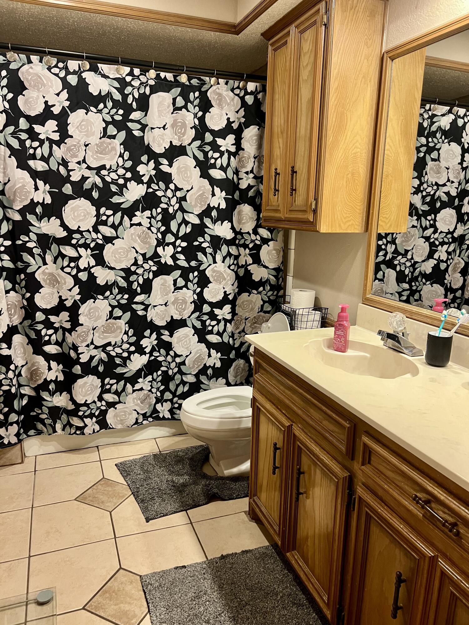 5725 63rd Street Lubbock, TX 79424 - Photo 11 of 14 a bathroom with a sink and a mirror