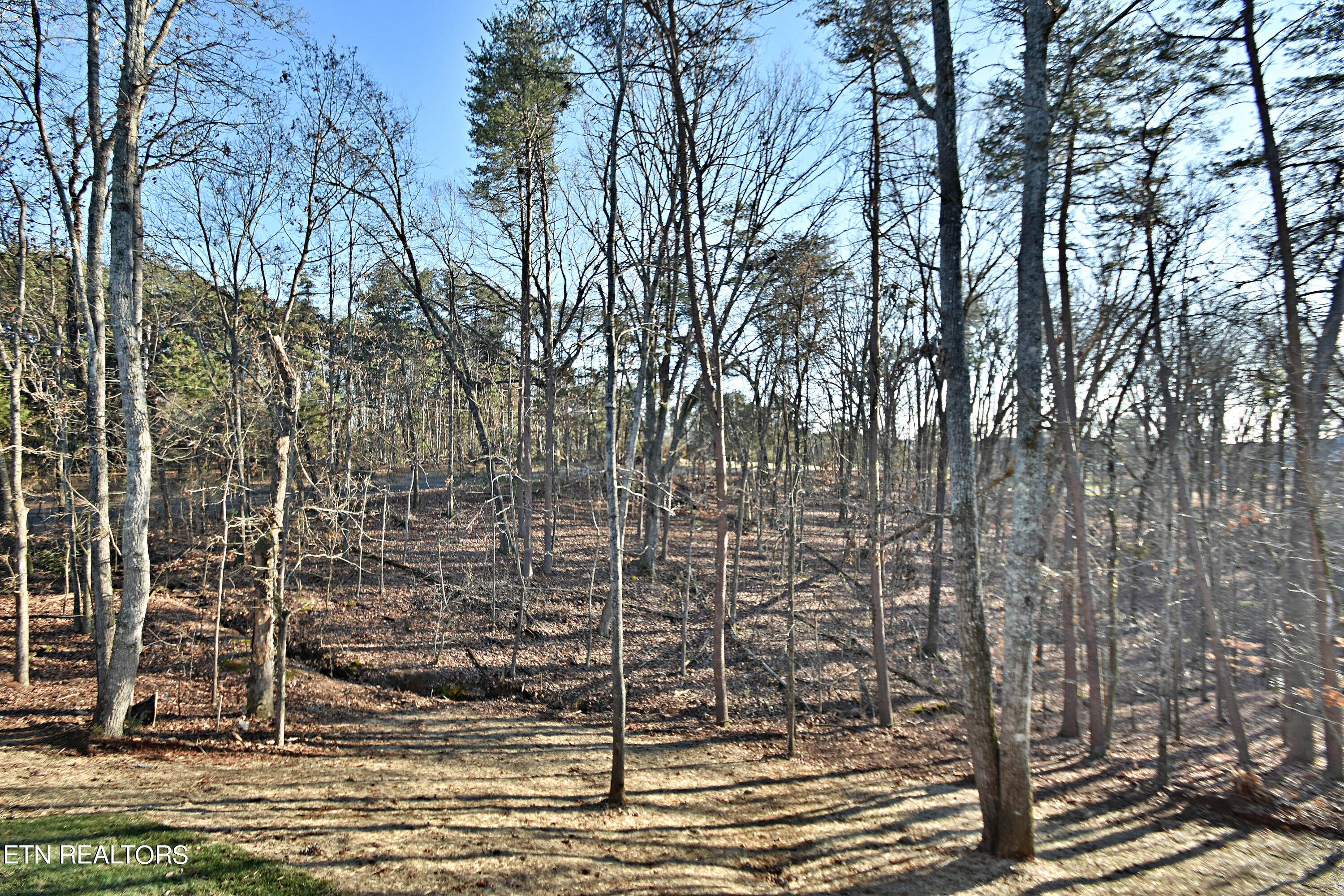 710 Blackberry Ridge Road Lenoir City, TN 37772 - Photo 34 of 41 DSC_1054