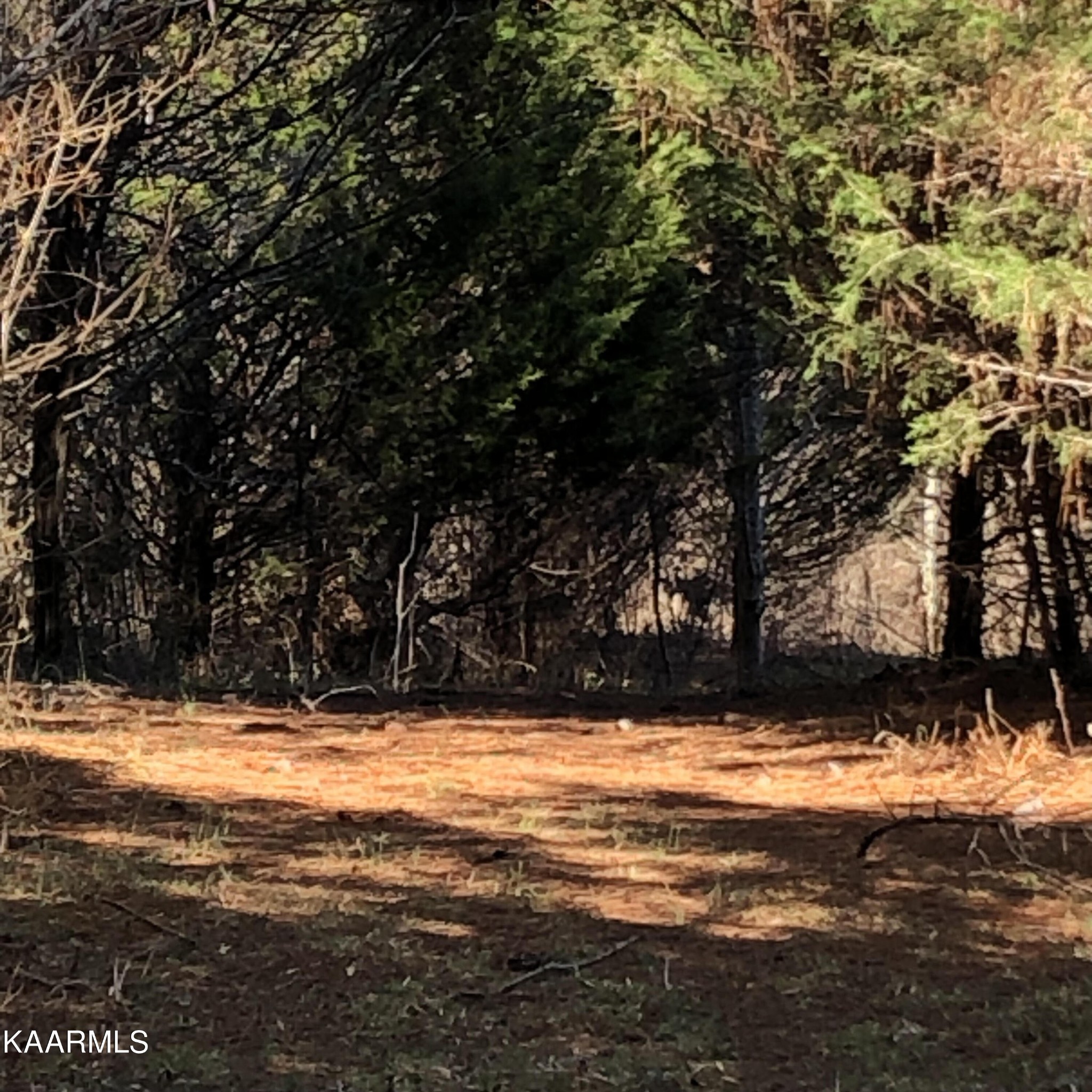 0 Liberality Road Madisonville, TN 37354 - Photo 1 of 9