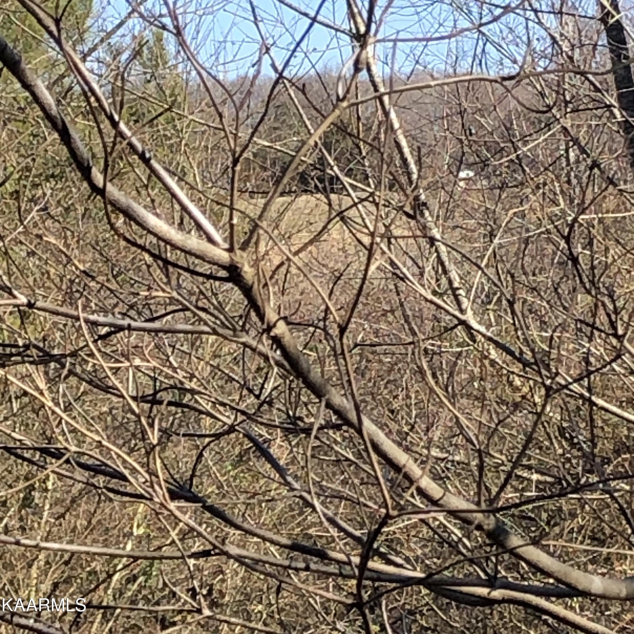 0 Liberality Road Madisonville, TN 37354 - Photo 2 of 9