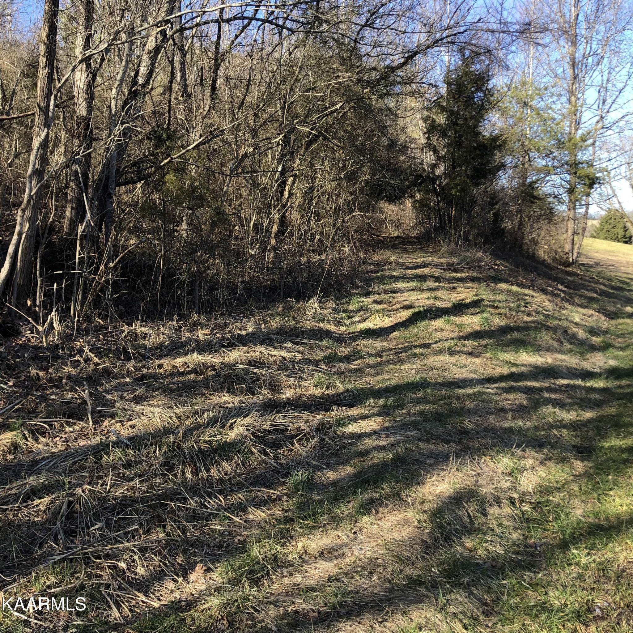 0 Liberality Road Madisonville, TN 37354 - Photo 3 of 9