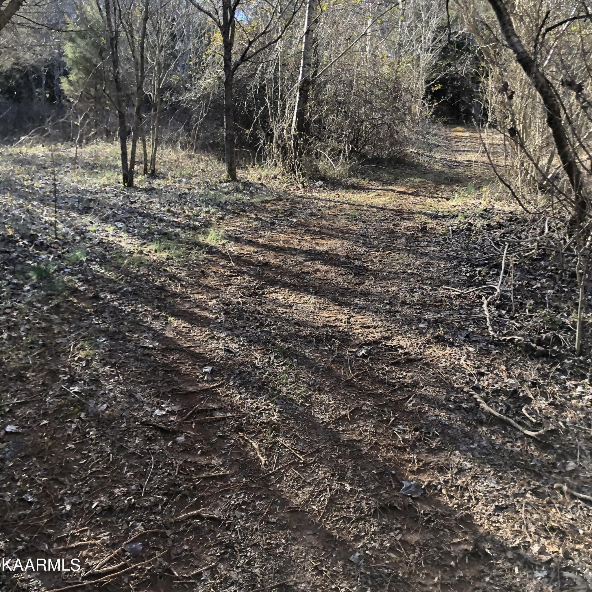 0 Liberality Road Madisonville, TN 37354 - Photo 4 of 9