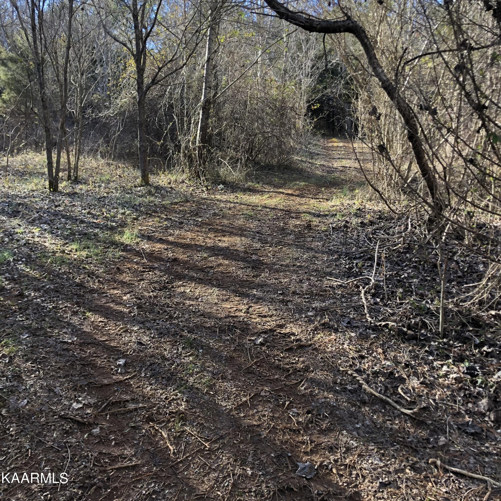 0 Liberality Road Madisonville, TN 37354 - Photo 5 of 9