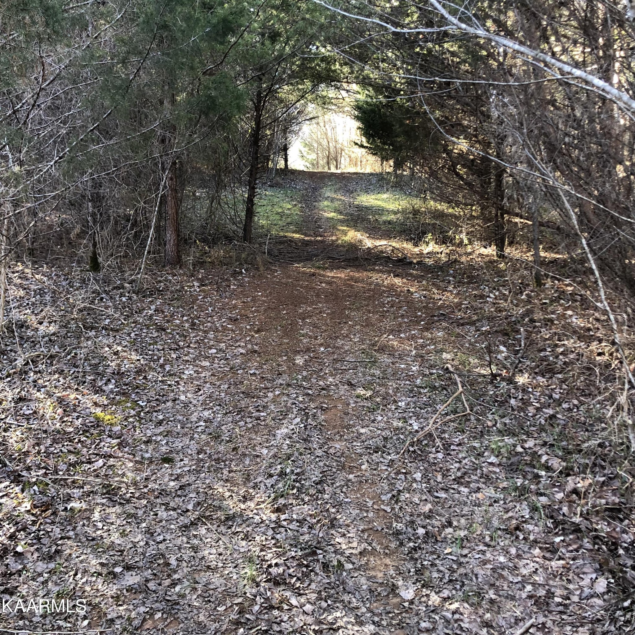 0 Liberality Road Madisonville, TN 37354 - Photo 7 of 9