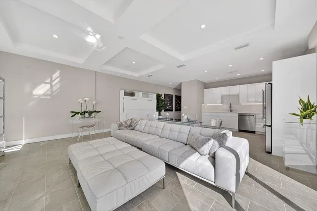 a living room with furniture and a potted plant