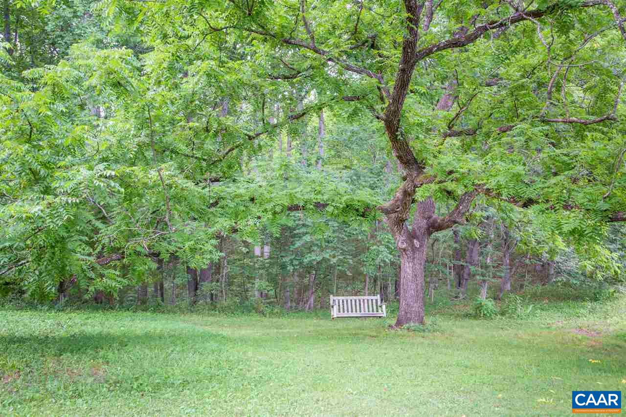 1139 Spencer Road Dillwyn, VA 23936 - Photo 18 of 29 a view of a trees with a yard