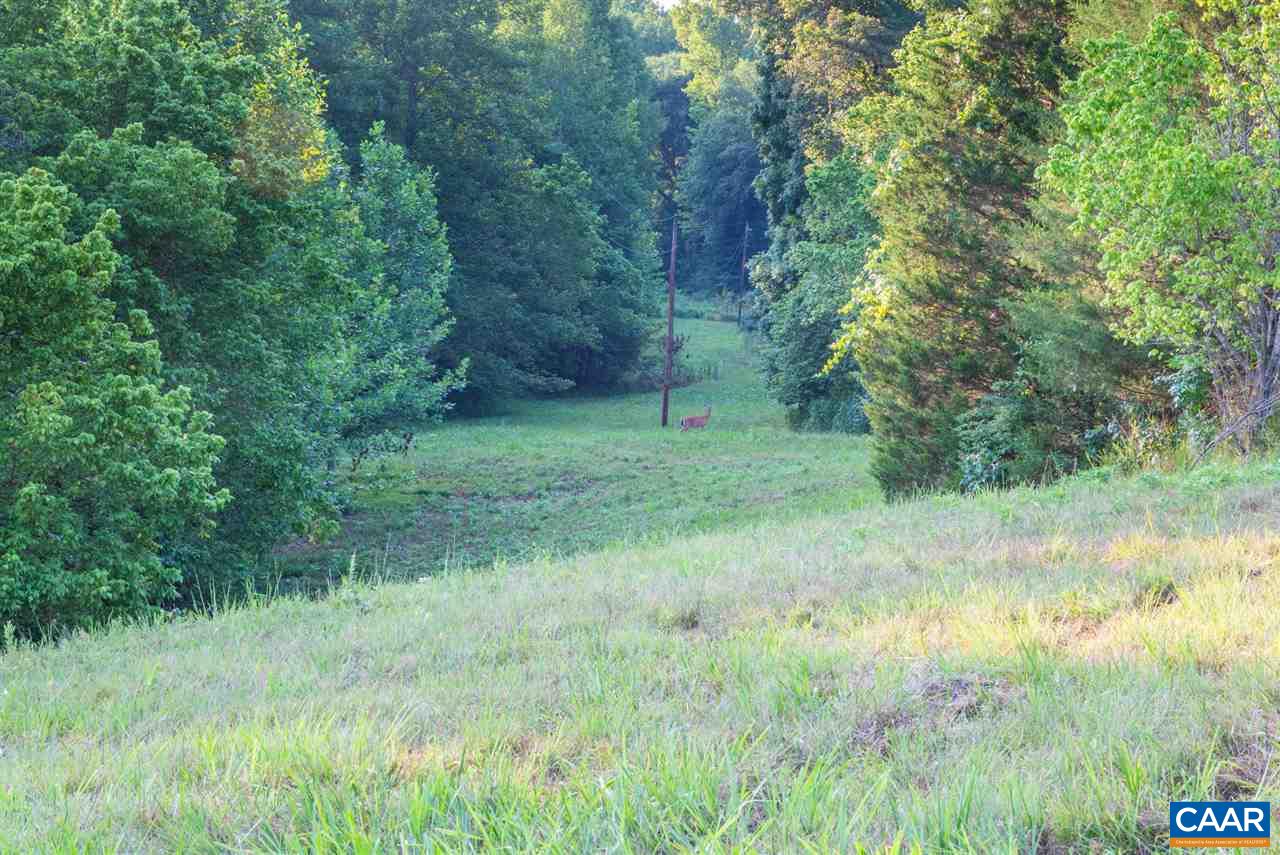 1139 Spencer Road Dillwyn, VA 23936 - Photo 19 of 29 a view of outdoor space and green field