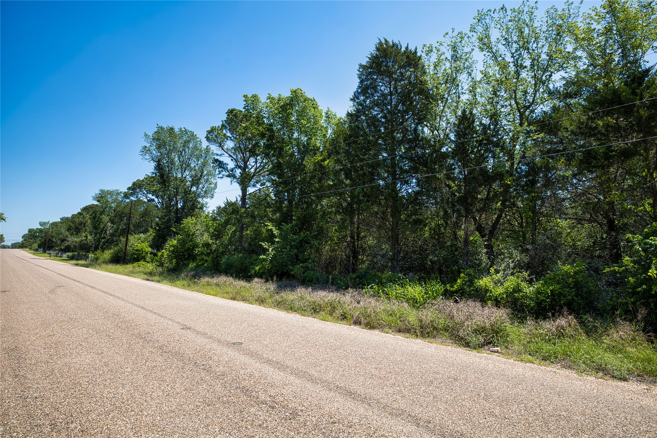 Lot 10 Foothill Road Bastrop, TX 78602 - Photo 7 of 7 a view of a garden